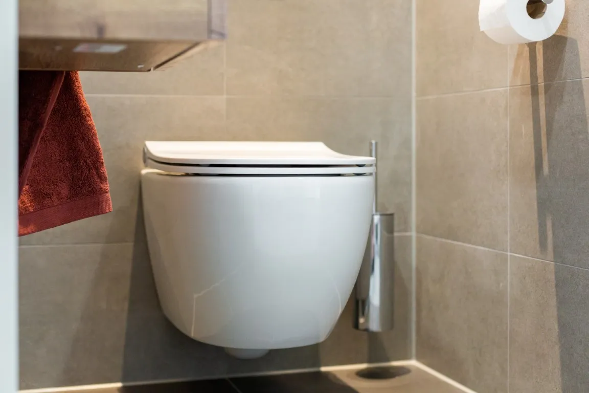 Elegant Grey toilet
