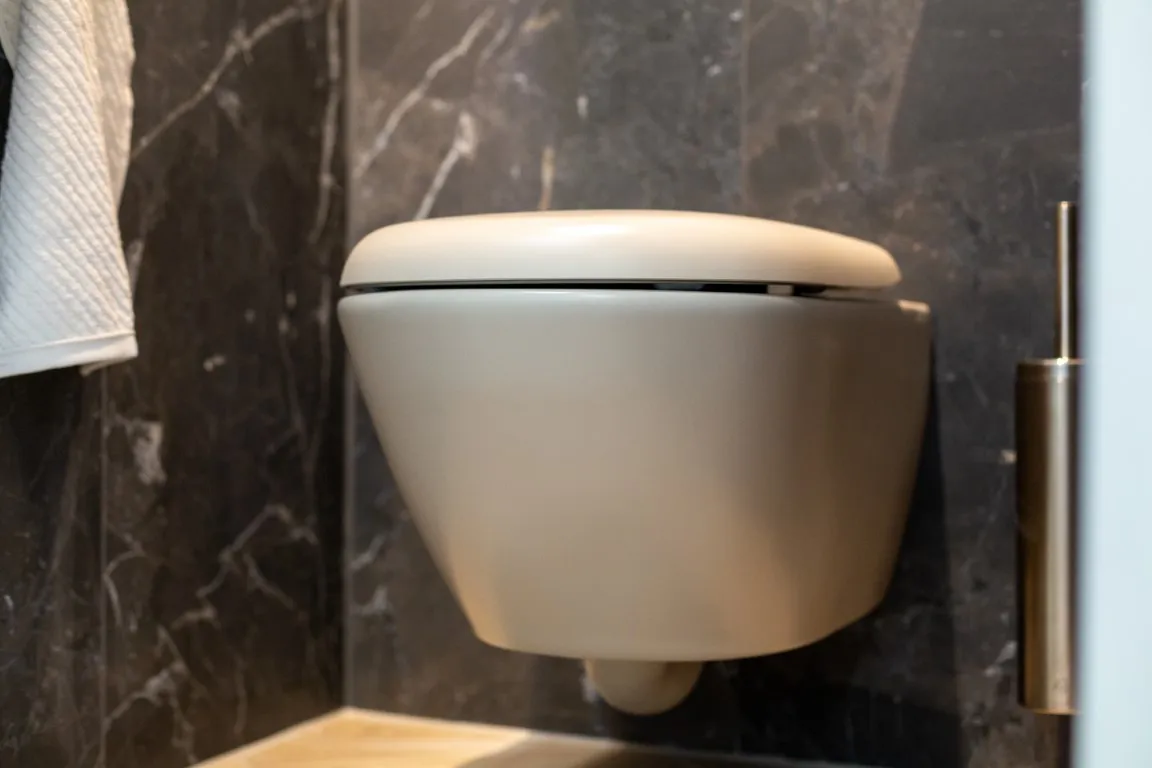 Modern Marble toilet Modern Marble toilet
