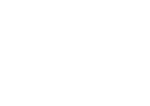 Regn logo wit