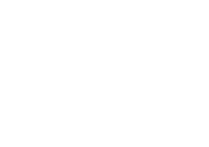 Logo Roca wit