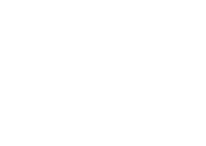 Detremmerie logo wit