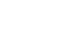 Logo Omega wit