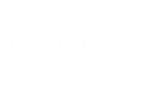 Geesa logo wit
