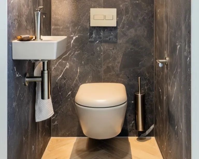 Modern Marble toilet