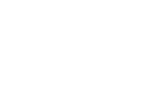 Logo Julius wit